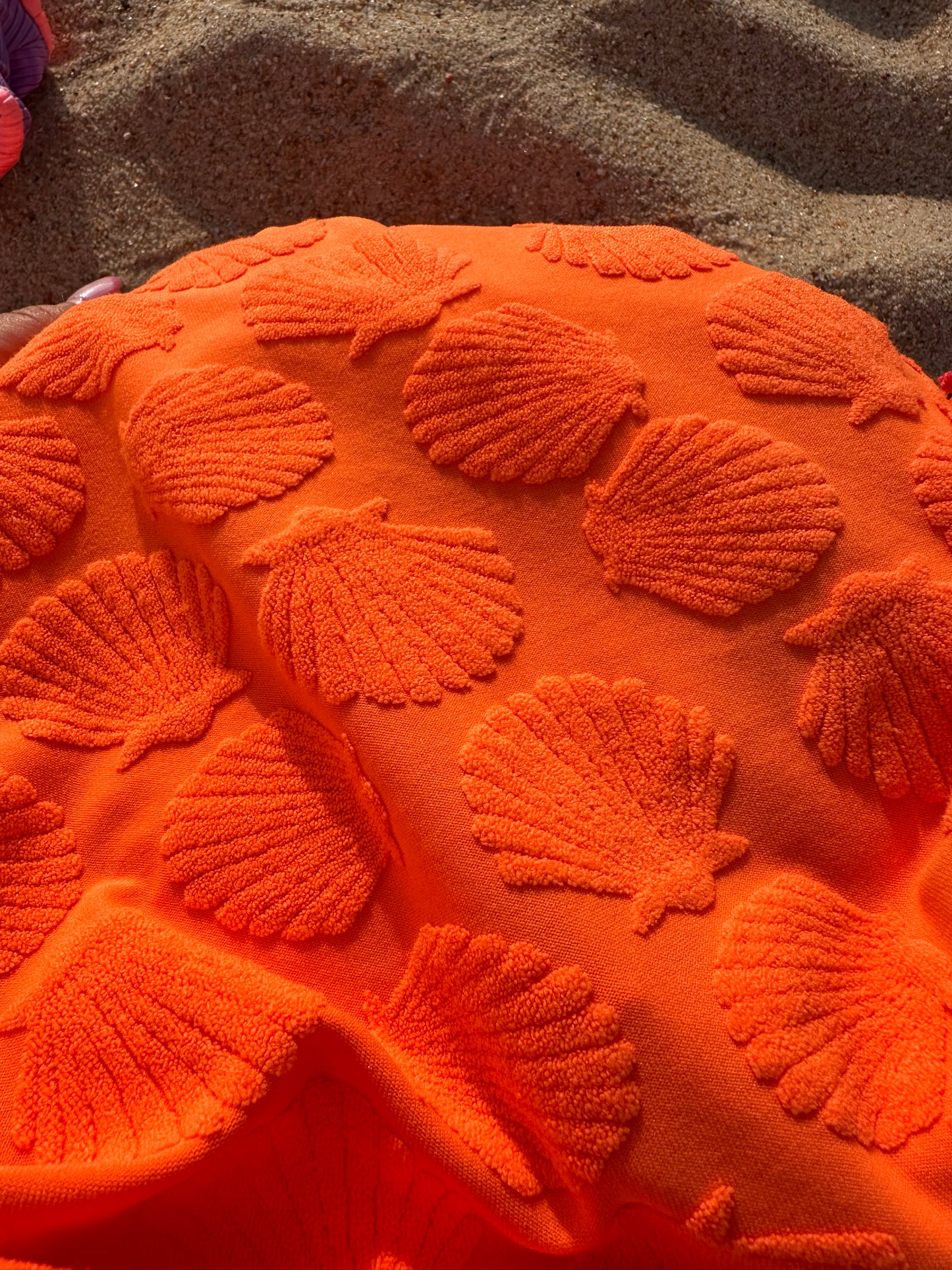 Páreo Concha neon  🦀✨